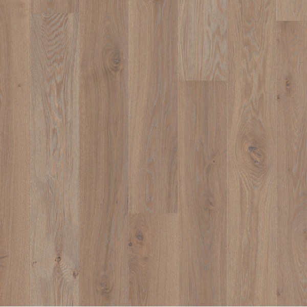 BOEN Oak Warm Grey Animoso Live Pure 181mm Engineered Wood Flooring
