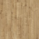 Elka Pavillion Oak Laminate flooring (8mm Thickness) 