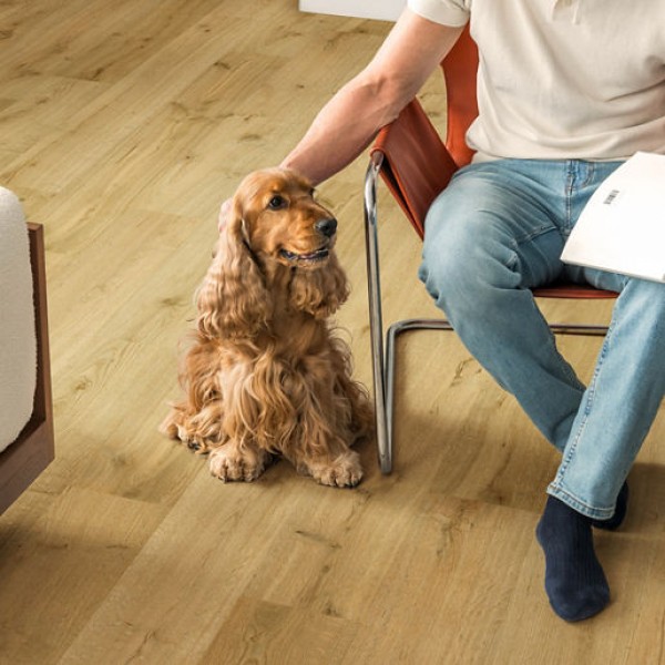 Quick-Step Impressive Truffle Oak Laminate Flooring IM8256